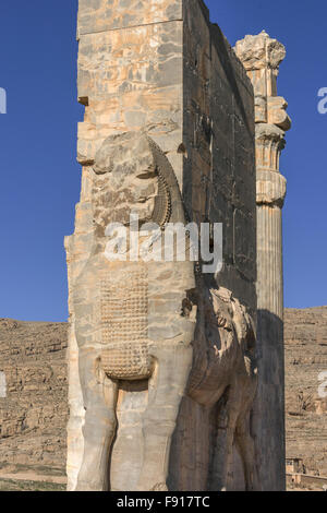 Porte de toutes les nations avec un Lamassu, Persepolis, Iran Banque D'Images