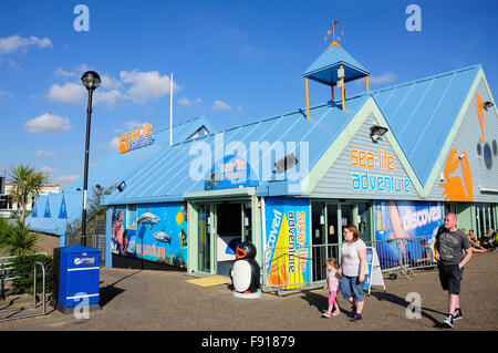 Sea Life Aquarium Adventure, l'Est de l'Esplanade, Southend-on-Sea, Essex, Angleterre, Royaume-Uni Banque D'Images