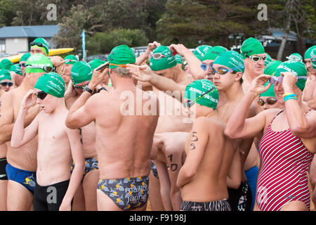 Sydney, Australie. 13th décembre 2015. Bilgola Beach course de natation sur l'océan plus de 1,5 kilomètres, dans le cadre de la série annuelle Pittwater Ocean Swim, Sydney, Australie photo hommes et femmes nageurs attendent le début de la course Credit: model10/Alay Live News Banque D'Images