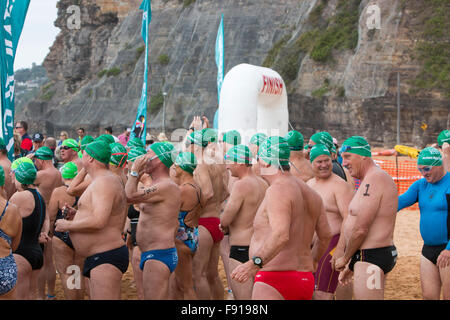 Sydney, Australie. 13 Décembre, 2015. Bilgola Beach Ocean piscine race sur 1,5 kilomètres, une partie de l'océan de la série annuelle de Pittwater nager,Sydney, Australie : modèle de crédit10/Alamy Live News Banque D'Images