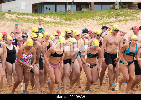 Sydney, Australie. 13th décembre 2015. Bilgola Beach course de natation sur l'océan plus de 1,5 kilomètres, dans le cadre de la série annuelle Pittwater Ocean Swim, Sydney, Australie des concurrents mâles et femelles courent pour commencer la course et la tête pour l'océan Banque D'Images