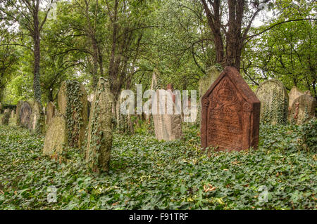 L'ancien cimetière juif de Kolin, République Tchèque Banque D'Images