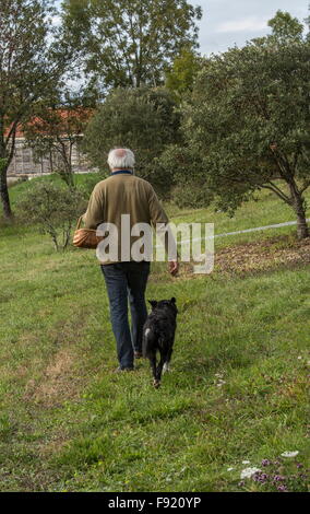 À la truffe, à l'aide d'un collie comme truffle-hound, à la ferme de la truffe à Pechalifour, Dordogne. Banque D'Images