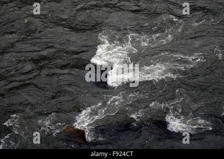 Photographie en noir et blanc d'eau d'une rivière de montagne Banque D'Images