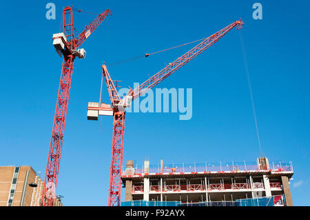 Grandes Grues sur le site de construction, Stratford, Newham Borough, London, Greater London, Angleterre, Royaume-Uni Banque D'Images