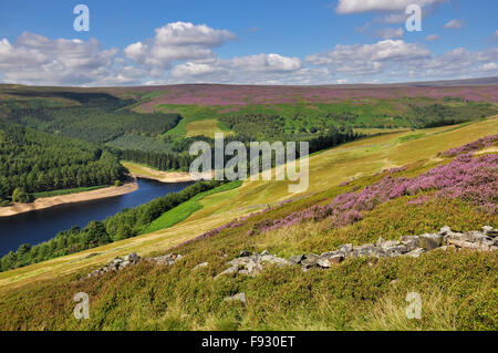 Couleur estivale sur les collines de la vallée de Derwent dans le Peak District, Derbyshire, Angleterre. Vue sur le réservoir Derwent. Banque D'Images