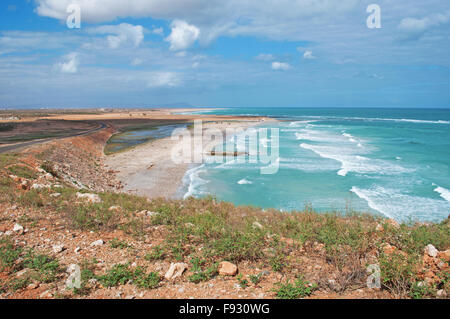 L'île de Socotra, au Yémen, au Moyen-Orient : la mer d'Oman, rochers, falaises, arbres et plage dans la zone protégée près de Hadibo, centre de biodiversité unique Banque D'Images