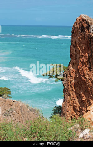 L'île de Socotra, au Yémen, au Moyen-Orient : la mer d'Oman, rochers, falaises, arbres et plage dans la zone protégée près de Hadibo, centre de biodiversité unique Banque D'Images