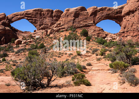 Fenêtre sud et nord, la fenêtre de sélection Windows, Arches National Park, Utah, USA Banque D'Images