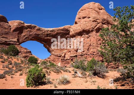 Fenêtre nord, la sélection Windows, Arches National Park, Utah, USA Banque D'Images