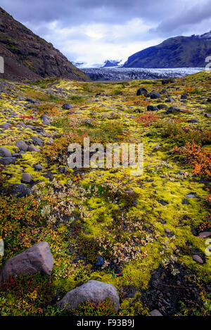 Vue d'une vallée et d'un glacier dans le sud de l'Islande Banque D'Images