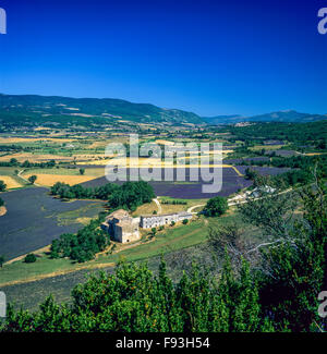 Ferme à Sault vallée avec les champs de lavande en fleurs, Vaucluse, Provence, France, Europe Banque D'Images