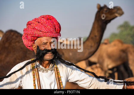 Portrait of a senior avec une longue barbe Rajasthani et turban, Pushkar, Rajasthan, India Banque D'Images