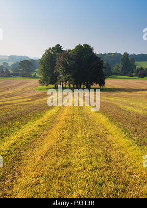 Vue sur le Kent Downs AONB, regard vers Swarling Manor, Petham, Kent. Banque D'Images