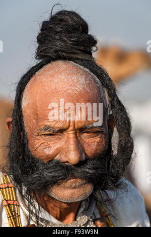 Portrait of a senior avec une longue barbe rajasthani, Pushkar, Rajasthan, India Banque D'Images