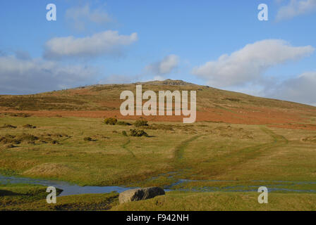 Vue de Cox Tor, Dartmoor National Park, Devon, Angleterre Banque D'Images