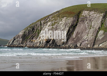 Atlantic surf à Coumeenoole Beach, Dunmore Head sur la péninsule de Dingle avec grande île Blasket en arrière-plan (à gauche). Banque D'Images