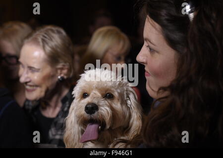 New York City, United States. 13 Décembre, 2015. Femme avec chien attendent leur tour. Cindy Adams du NY Post rejoint le commissaire William Bratton NYPD pour accueillir la septième bénédiction annuelle des animaux à Christ Church à Manhattan dans l'Upper East Side. Credit : Andy Katz/Pacific Press/Alamy Live News Banque D'Images