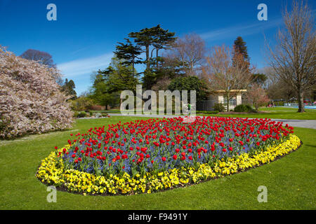 Lit de fleurs et d'arbres en fleurs, jardins botaniques, Hagley Park, Christchurch, Canterbury, île du Sud, Nouvelle-Zélande Banque D'Images