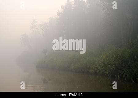 Sur la rivière à partir de la fumée des incendies de forêt, illégale de Kalimantan, Bornéo, Indonésie Banque D'Images