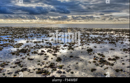 Concept de tranquillité. La plage par la mer lors d'une marée de très faible, avec des réflexions du ciel dans le reste de l'eau. Banque D'Images