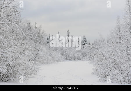 Lac de la taïga sur une journée froide avec des traces d'animaux sauvages dans la neige Banque D'Images