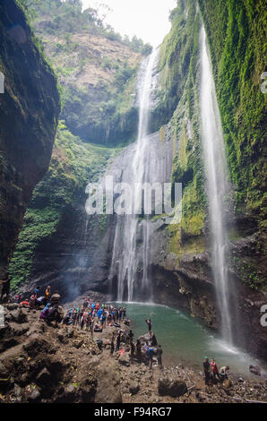 Cascade de Madakaripura, Java, Indonésie Banque D'Images