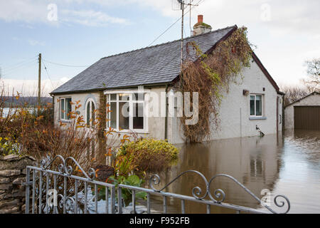 Une maison inondée dans la vallée de Lyth, près de levens. Le samedi 5 décembre 2015, Storm Desmond s'est écrasé dans le Royaume-Uni, la production de la UK's plus élevé jusqu'à 24 heures au total des précipitations 341.4mm. Il a inondé la Lyth Valley, la noyade de nombreuses fermes et maisons. Plusieurs périodes de fortes pluies ont gardé la Lyth Valley inondés, avec aucun signe de répit. Photo prise le jeudi 10 décembre 2015. Banque D'Images