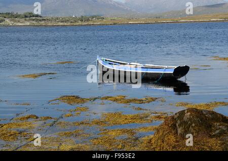 Petit bateau currach utilisé pour faire glisser les balles d'algues pour le traitement Inishnee Ballynahinch Connemara county Glaway Irlande Banque D'Images