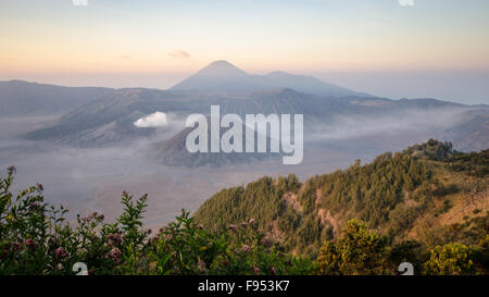 Mounto Bromo au lever du soleil, de l'Est de Java, Indonésie Banque D'Images