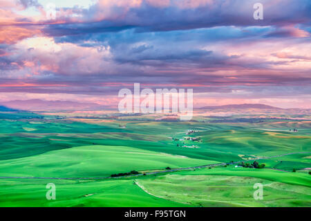 Le lever du soleil sur les collines dans la Palouse, la Palouse Scenic Byway, situé au coeur de la région de Palouse Banque D'Images