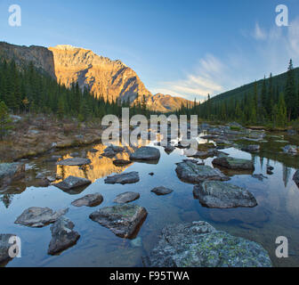 Lac de consolation, Banff National Park, Alberta, Canada Banque D'Images