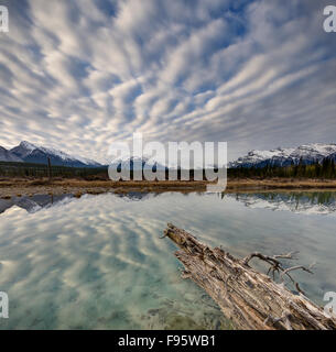 Miroir d'eau le long de la rivière Saskatchewan Nord sur la plaine de Kootenay, le mouflon d'incendies, Alberta, Canada Banque D'Images