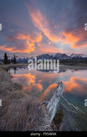 Miroir d'eau sur la rivière Saskatchewan Nord, sur la plaine de Kootenay, le mouflon d'incendies, Alberta, Canada Banque D'Images