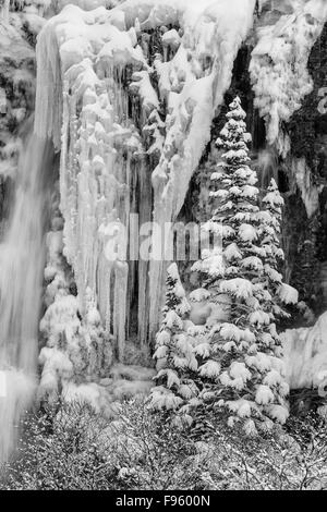 Chutes Tangle, Jasper National Park, Alberta, Canada Banque D'Images