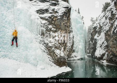 Grimpeur sur glace à 'la galerie' dans Cline River Canyon, les plaines de Kootenay, Alberta, Canada Banque D'Images