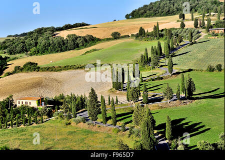 Route sinueuse en Toscane pittoresque bordée de cyprès, Toscane, Italie Banque D'Images