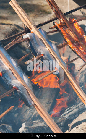 Traditionnellement au four saumon au-dessus d'un feu pendant le Festival du saumon sur l'île Malcolm dans le petit village de Sointula. Banque D'Images