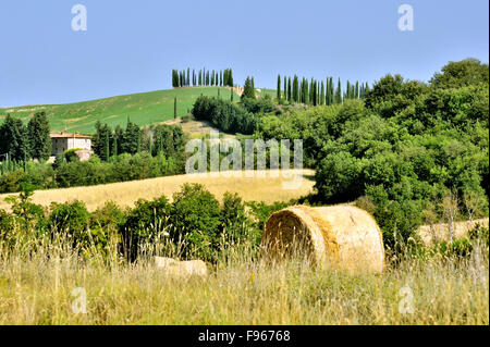 Paysage de l'été toscan avec des bottes de paille, maisons de ferme et de cyprès, Toscane, Italie Banque D'Images