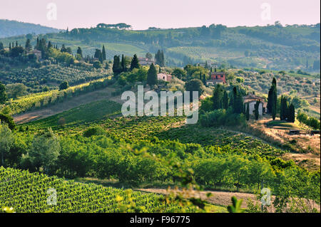Maisons dans le paysage de collines de cyprès et de la vigne en Toscane à lumière douce, Toscane, Italie Banque D'Images