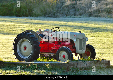 Un tracteur agricole Ford vintage sur l'affichage dans une zone rurale agricole dans la lumière tôt le matin près de Sussex au Nouveau-Brunswick, Canada. Banque D'Images