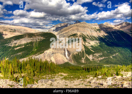 Les chutes Takakkaw et la glace Waputik Icefield, vu de l'Iceline Trail dans le parc national Yoho, Colombie-Britannique, Canada Banque D'Images