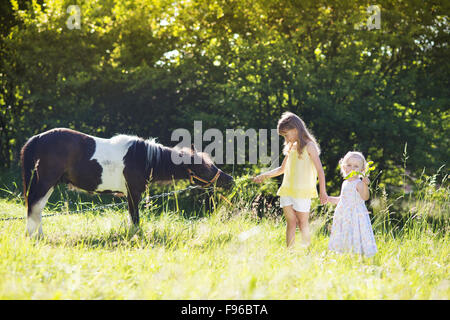 Portrait de deux petites sœurs s'amusant à l'extérieur, de l'alimentation campagne pony Banque D'Images
