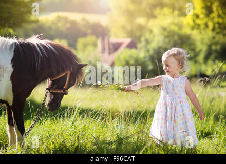 Portrait de jeune fille tlittle s'amusant à l'extérieur, de l'alimentation campagne pony Banque D'Images