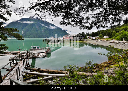 British Columbia, Canada, Bella Coola Valley, North Bentinck Arm, conserverie, Tallheo Banque D'Images