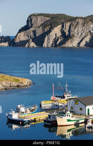 Les bateaux de pêche amarrés au quai, Brigus South, Terre-Neuve, Canada Banque D'Images