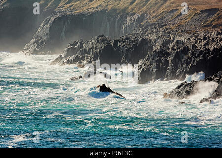 Vagues se brisant sur la côte, le phare de Cape Race, Lieu historique national du Canada, Terre-Neuve Banque D'Images