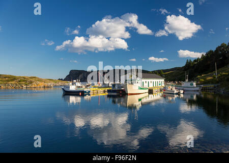 Les bateaux de pêche amarrés au quai, Brigus South, Terre-Neuve, Canada Banque D'Images