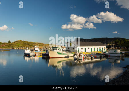 Les bateaux de pêche amarrés au quai, Brigus South, Terre-Neuve, Canada Banque D'Images