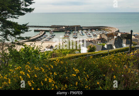 View vers le port de Lyme Regis et s/n, Devon, Angleterre, Royaume-Uni. Banque D'Images